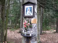 Fotodetail