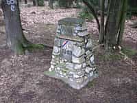 Fotodetail