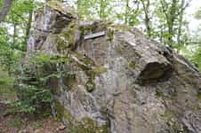 Fotodetail