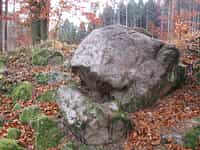 Fotodetail