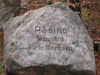 Fotodetail