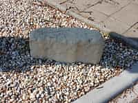 Fotodetail