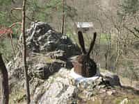 Fotodetail
