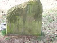 Fotodetail