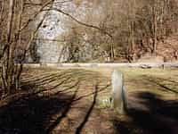 Fotodetail