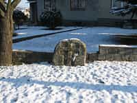 Fotodetail