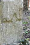 Fotodetail