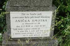 Fotodetail