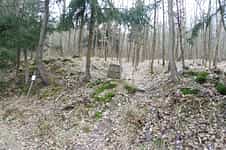 Fotodetail