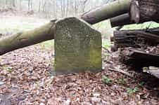 Fotodetail
