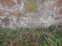 Fotodetail