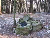 Fotodetail