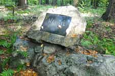 Wachtl, Jiří