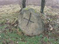 Fotodetail